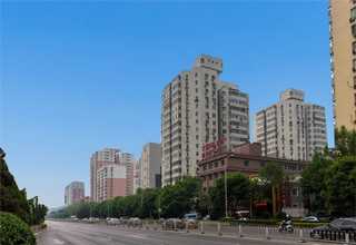 山东乡村景观设计单位